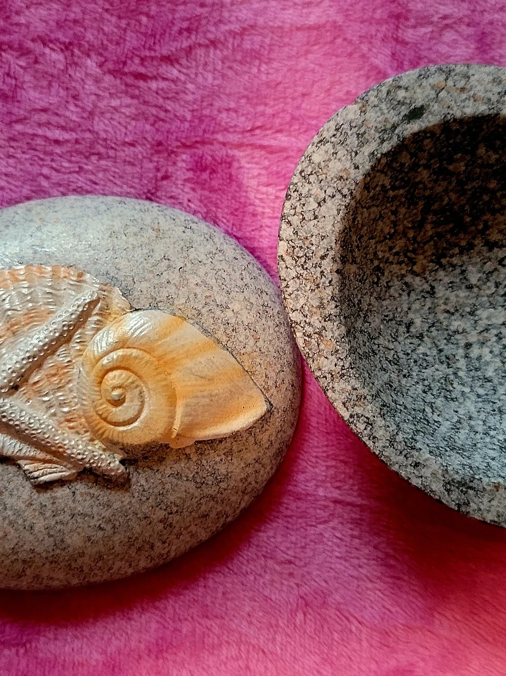Decorative Starfish Shell Accent Stone in Beige and Natural